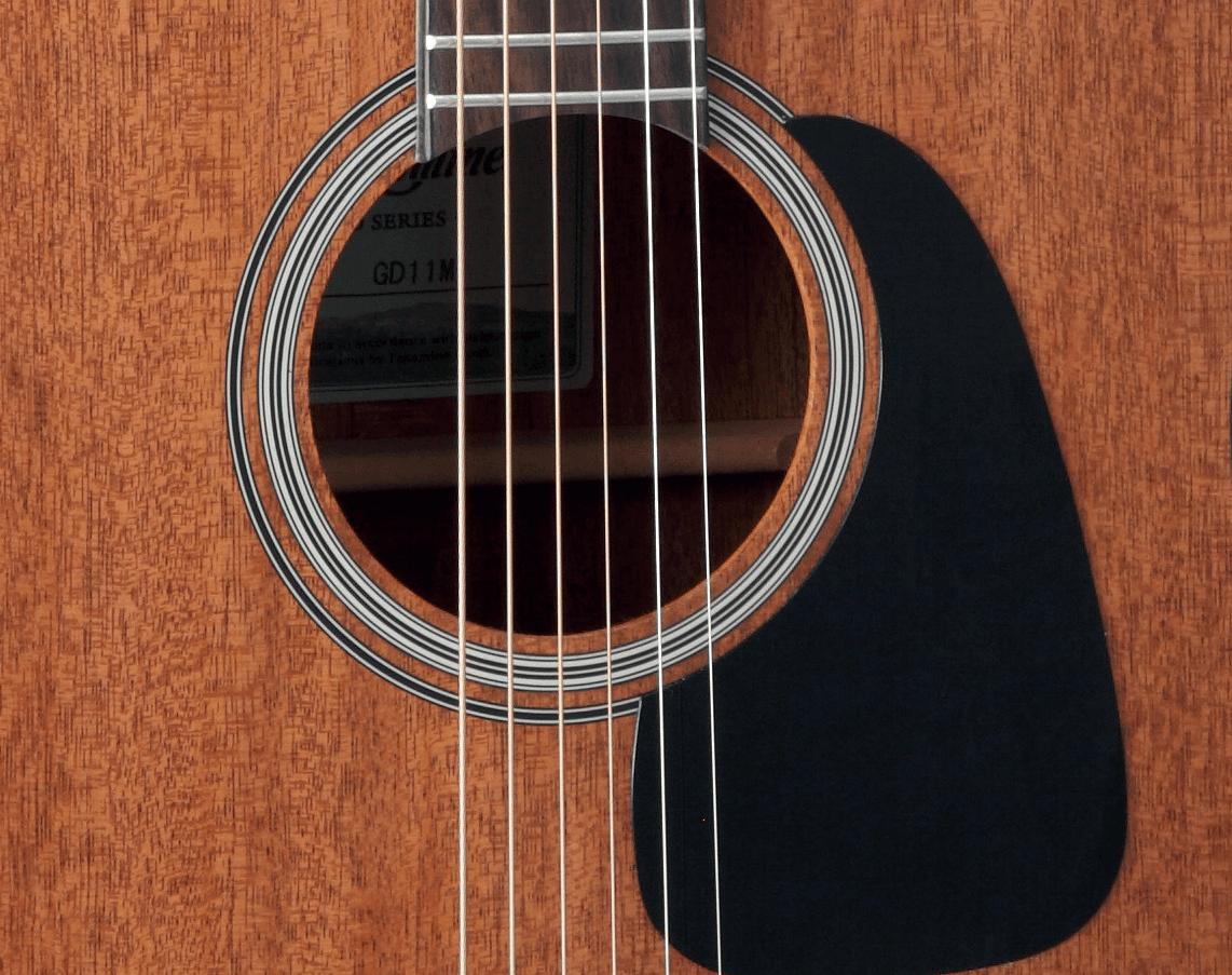 TAKAMINE GD11MNS