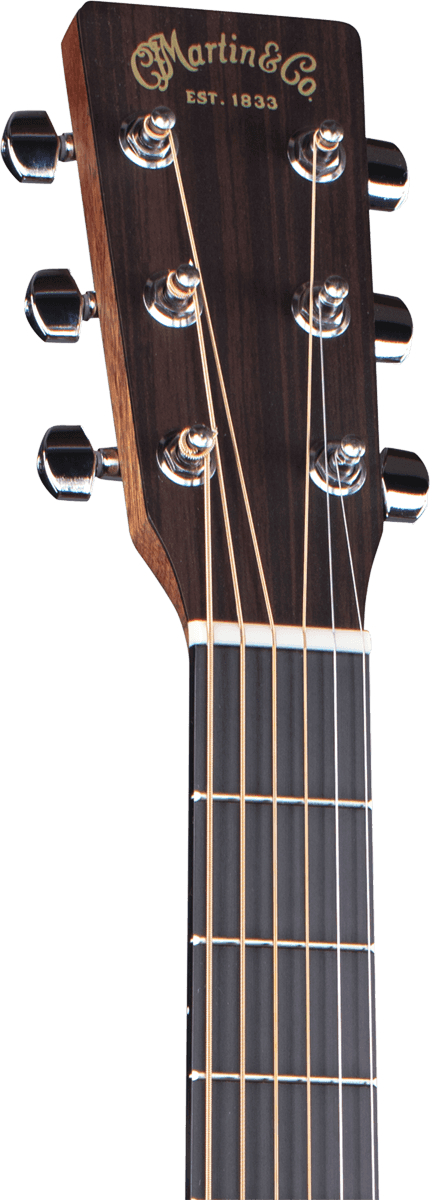 GUITARE ACOUSTIQUE MARTIN & CO D10E sapele avec softcase