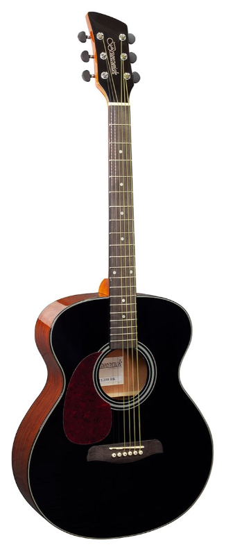 Guitare Folk Brunswick BFL200 Black Gaucher