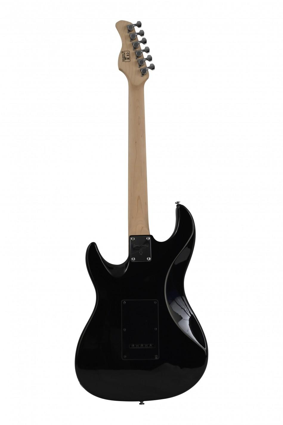 Guitare LARRY CARLTON S3 BK RN