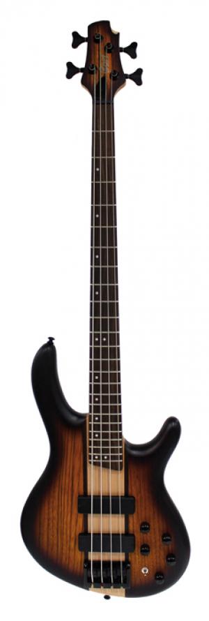 BASSE CORT C4 PLUS ZEBRA TOBACCO BURST