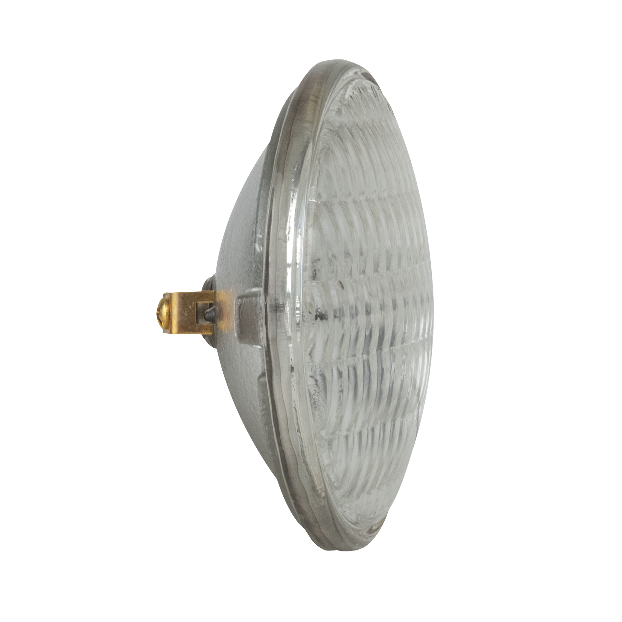 LAMPE Showgear Par 36 M-P 120 V 650 W pour BLINDER2