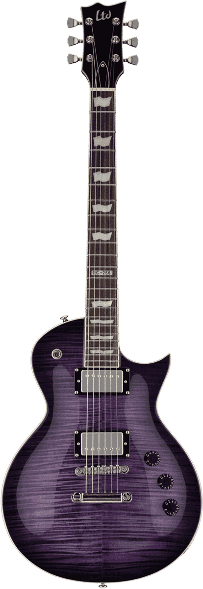 LTD EC256-STPSB