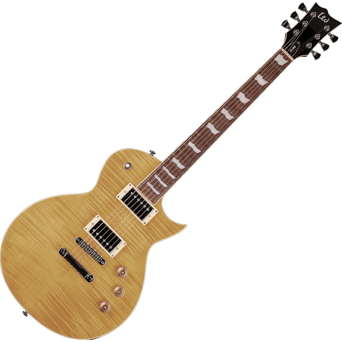 Guitare LTD EC256-VN