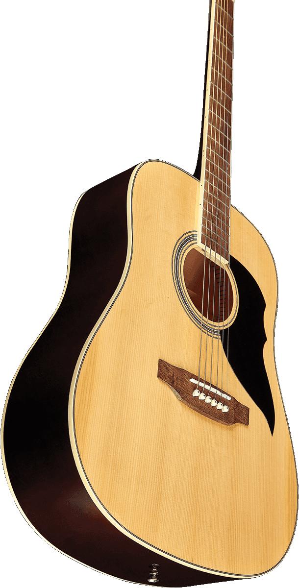 Guitare EKO RANGER6-NAT