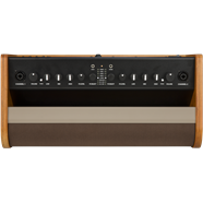 Fender® ACOUSTIC 100