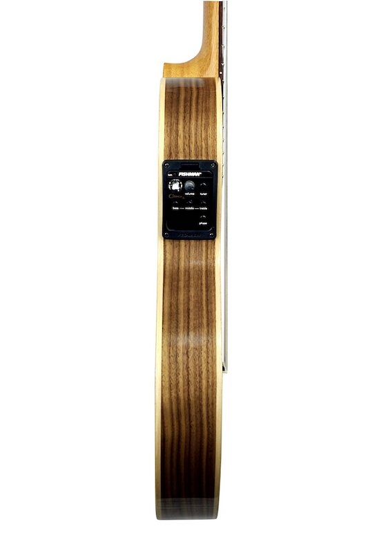 Guitare KREMONA R65CW-TL