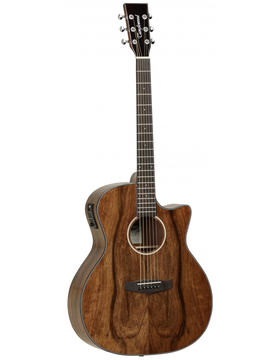 Guitare Folk TANGLEWOOD Evolution TVCXPW CN